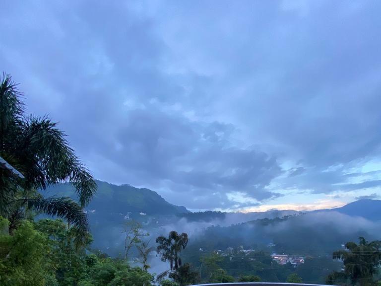 Munnar Blue Mist Bed and Breakfast Buitenkant foto