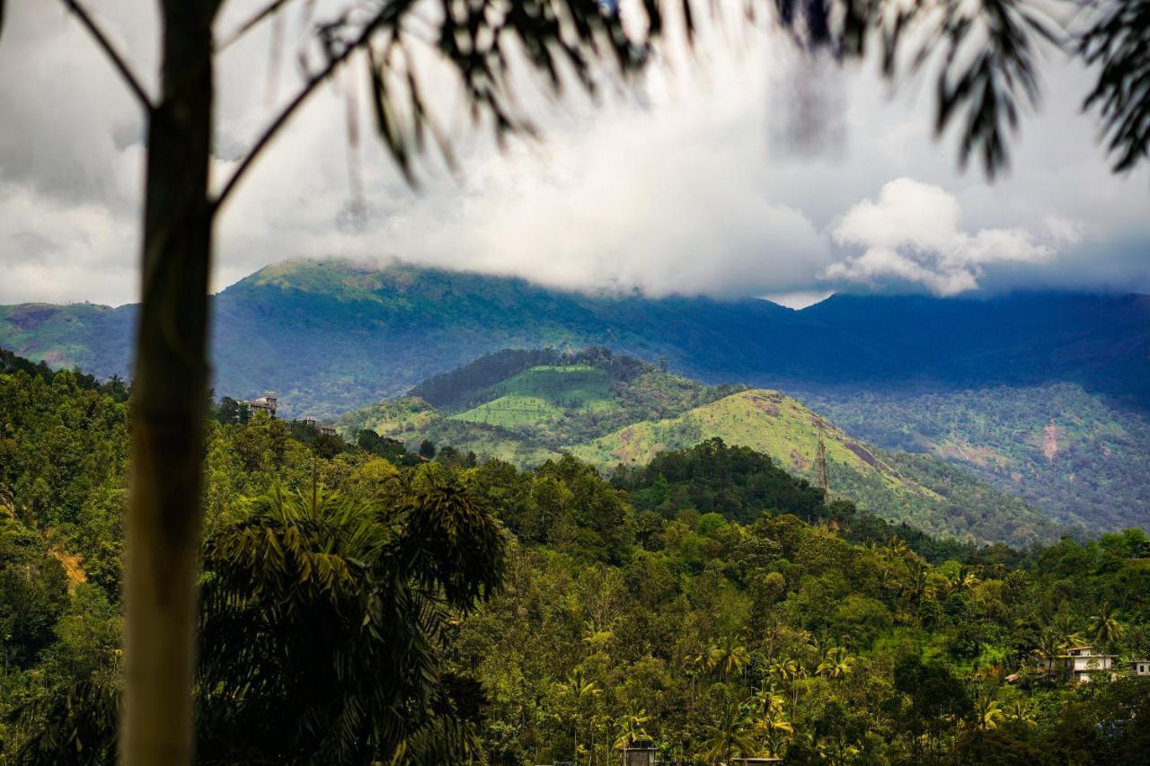 Munnar Blue Mist Bed and Breakfast Buitenkant foto