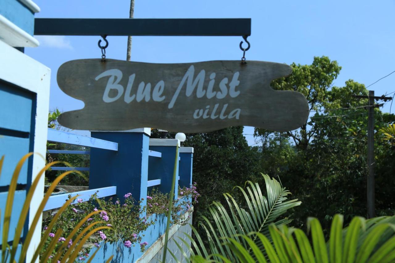 Munnar Blue Mist Bed and Breakfast Buitenkant foto